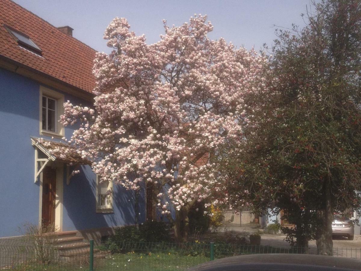 Maison des écluses Strasbourg F3 90m2 Jacuzzi Climatisation Esterno foto