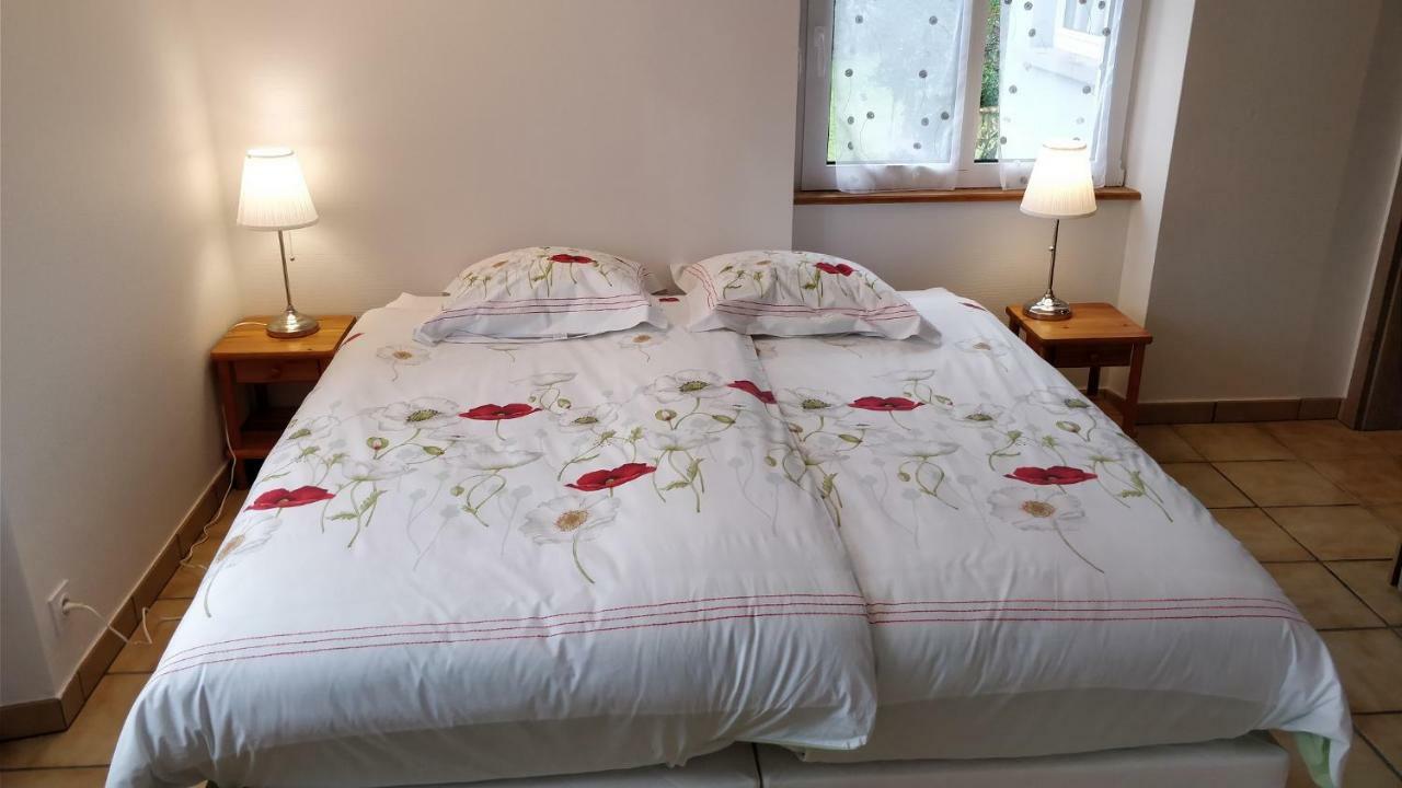 Maison des écluses Strasbourg F3 90m2 Jacuzzi Climatisation Esterno foto